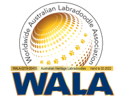 Australian Heritage Labradoodles WALA membership badge