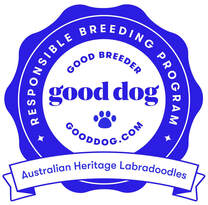 Australian Heritage Labradoodles Good Breeder badge